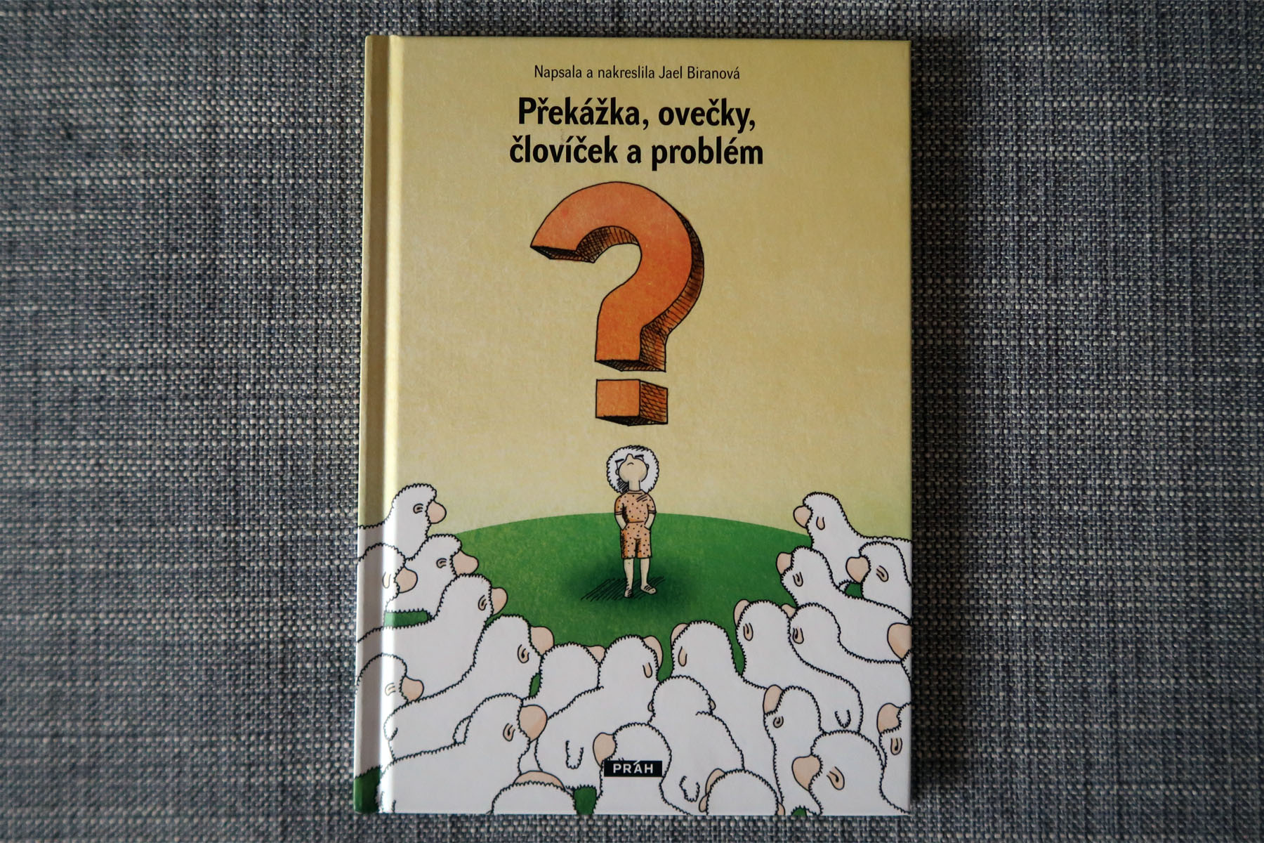 Překážka, ovečky, človíček a problém