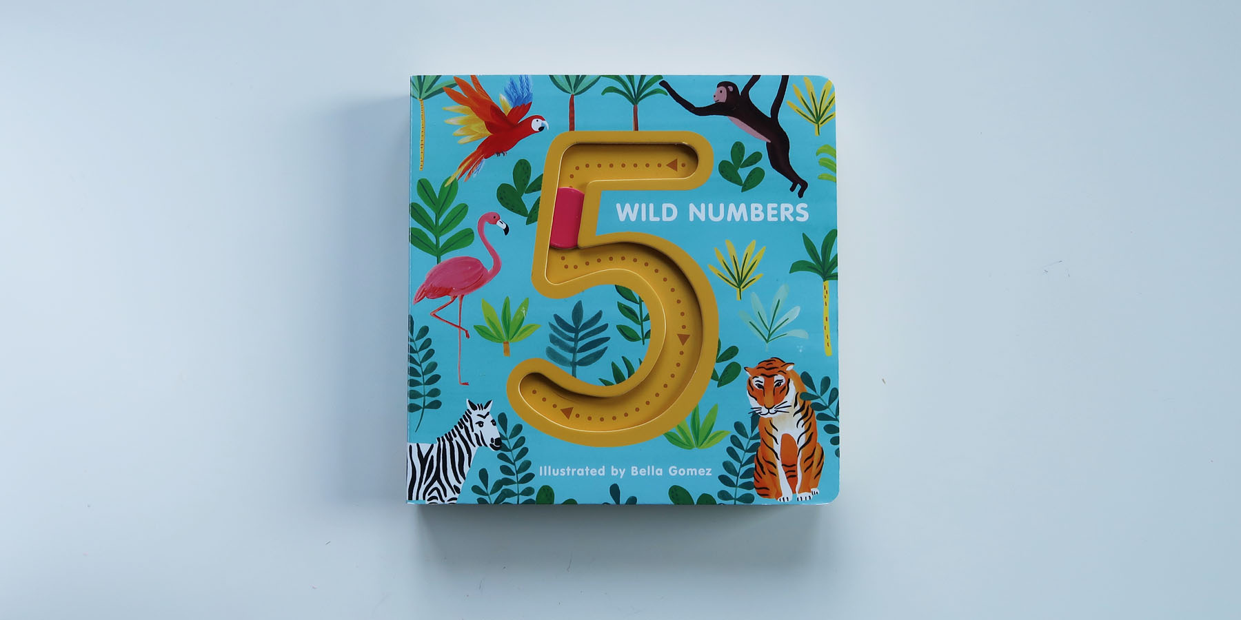 5 Wild Numbers
