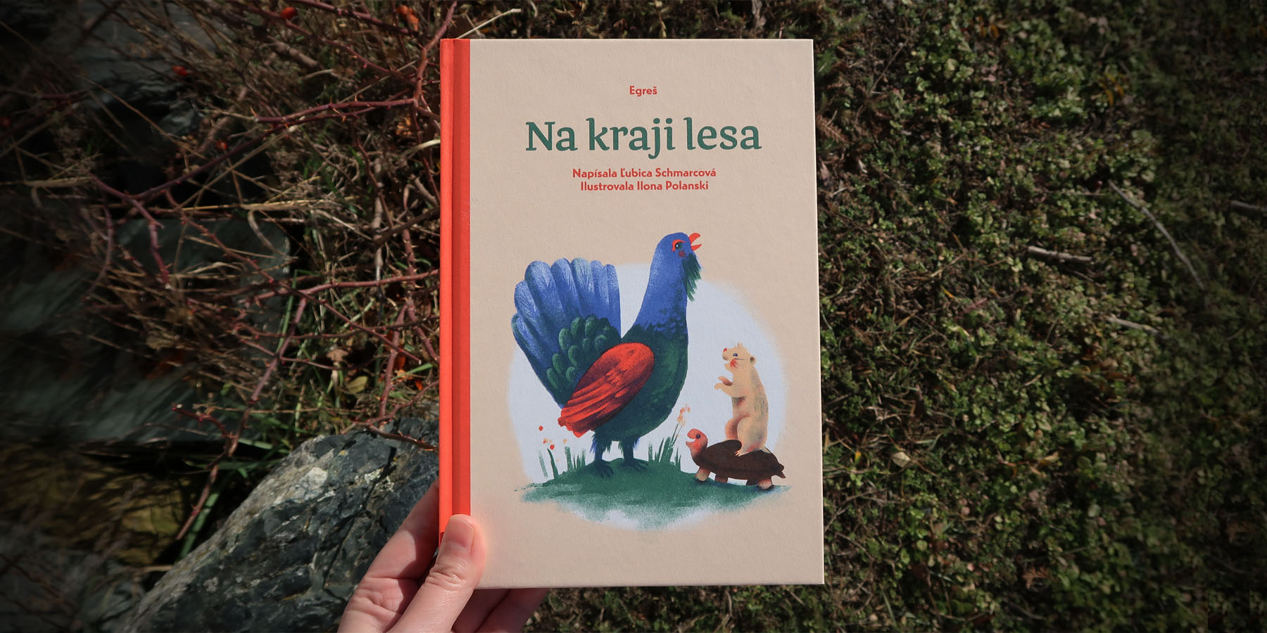 Na kraji lesa