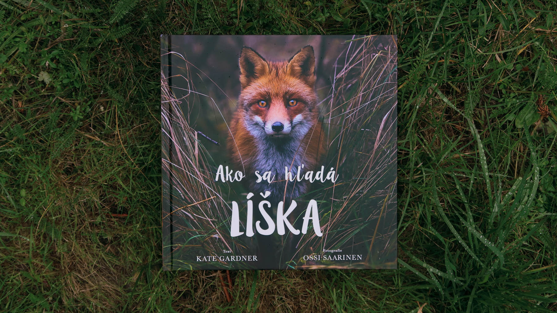 Ako sa hľadá líška