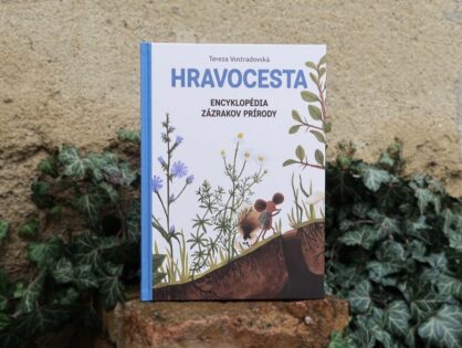 Hravocesta