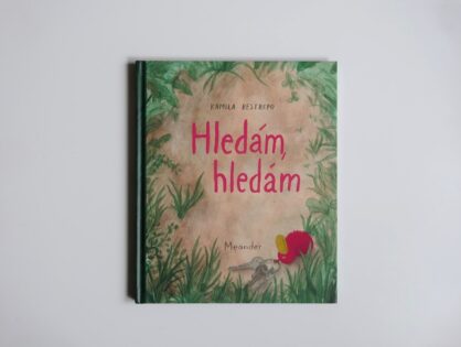 Hledám, hledám