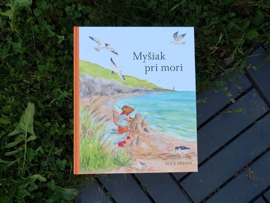 Myšiak pri mori