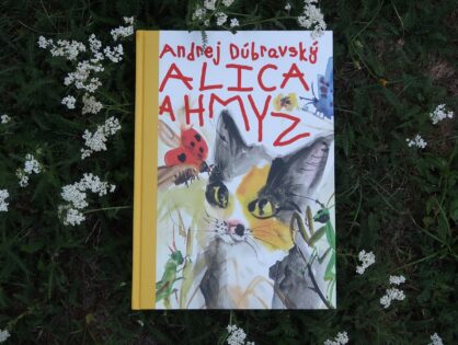 Alica a hmyz
