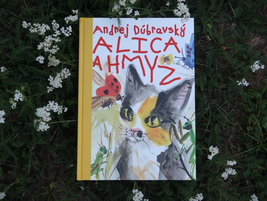 Alica a hmyz